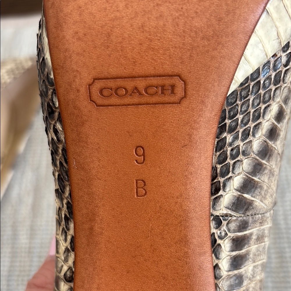 Coach Beige Snakeskin Heels - Picture 5 of 5
